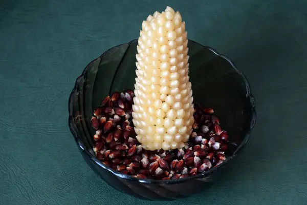 An ear of popcorn corn lies in a plate with dark-colored popcorn grains — 图库照片