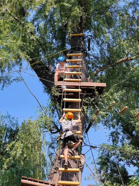 Dos Adolescentes Una Escalera Cuerda Parte Superior Árbol Parque Cuerdas — Foto de Stock