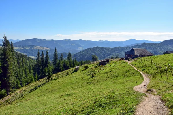 Picturesque Mountain Old Wooden House Buildings Green Coniferous Forest — Stock Photo, Image