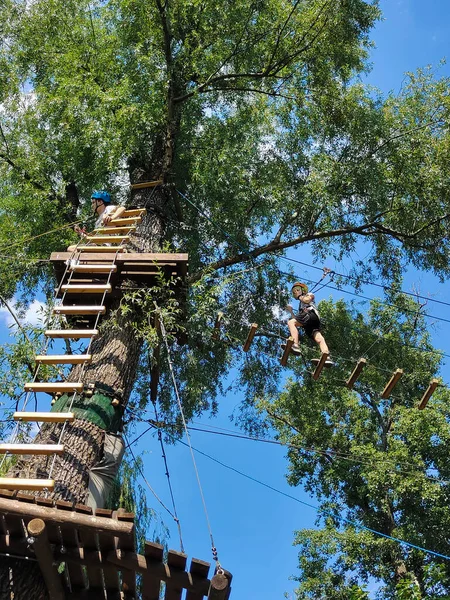 Dos Adolescentes Están Pie Palet Madera Árbol Parque Cuerdas Con — Foto de Stock