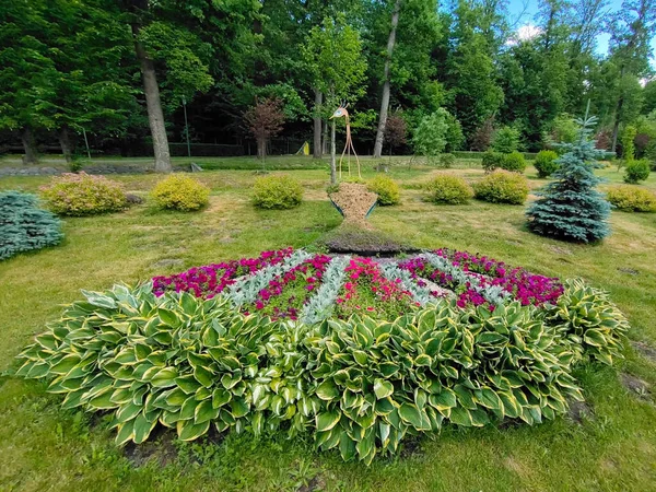 Ein Blumenbeet Mit Bunten Blumen Stadtpark Form Eines Großen Pfauenvogels — Stockfoto