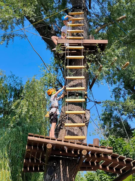 Dos Adolescentes Una Escalera Cuerda Parte Superior Árbol Parque Cuerdas — Foto de Stock