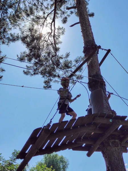 ロープパークの木では 10代の少年が階段をより高く登ろうとしています 下の図 — ストック写真