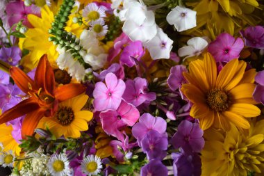A background of many wildflowers of different shapes and colors for the entire frame