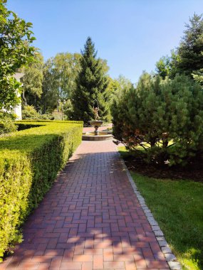 In the city park, a path for walking made of paving stones, which leads in perspective between the trees to a fountain in the form of Cupid