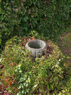 Şehir parkına süslü bir yeşillikle taş bir çöp kutusu asılır.