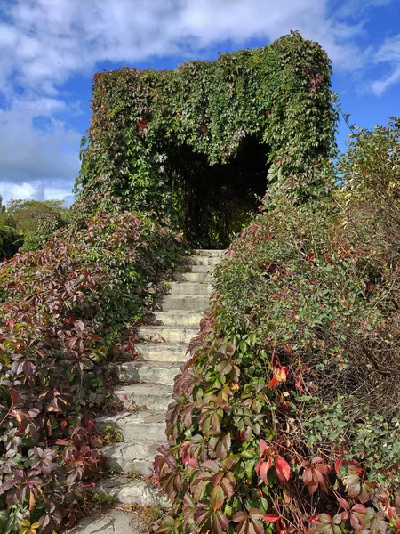 Een Natuurlijke Boog Vorm Van Een Hart Een Stadspark Trap — Stockfoto