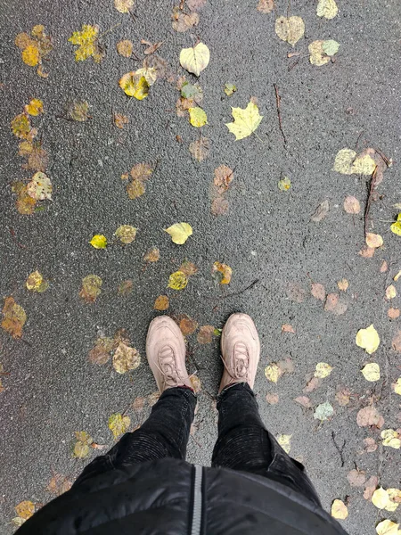 Pies Hombre Zapatos Sobre Asfalto Mojado Con Hojas Amarillas Vista —  Fotos de Stock