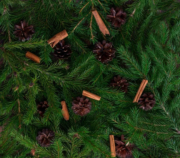 크리스마스 트리 가지의 배경에는 작은 추상체와 계피 스틱 이 있다. 평평하게 누워 있다. 자연의 새해라는 개념. — 스톡 사진