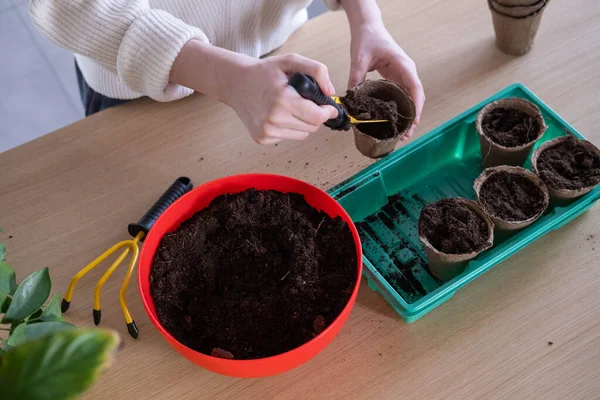 Vista Superior Las Manos Una Mujer Joven Plantando Semillas Casa Imágenes de stock libres de derechos