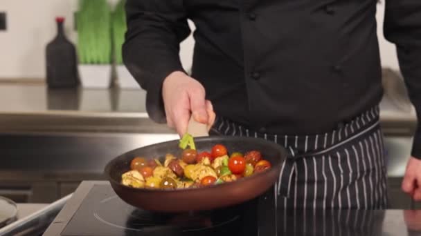 Koch Kocht Der Küche — Stockvideo