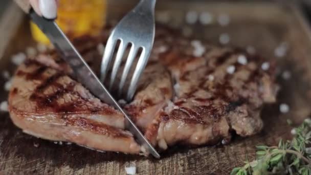 Melihat Lebih Dekat Daging Panggang Yang Lezat — Stok Video