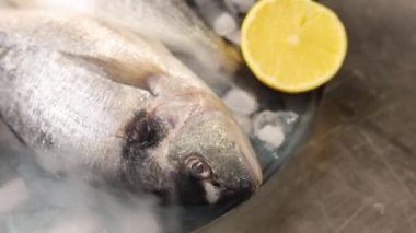 Siyah eldivenli şef çipura hazırlıyor.