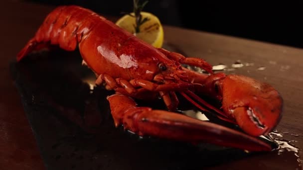 Cooked Lobster Red Sauce Restaurant Black Background — Stock Video