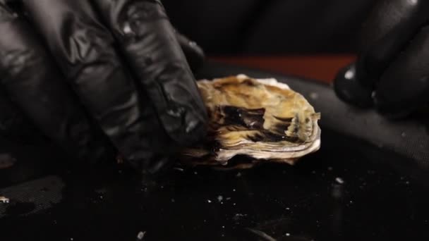 Frische Austern Vom Koch Schwarzen Handschuhen Geöffnet — Stockvideo