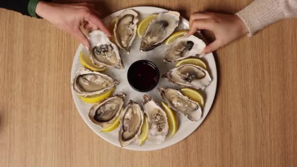 Fresh Oysters Lemon Ice Plate — Stock Video
