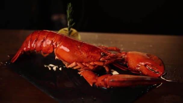 Gekochter Hummer Mit Roter Sauce Einem Restaurant Auf Schwarzem Hintergrund — Stockvideo