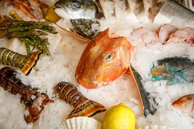Dondurulmuş taze balık ve buzlu deniz ürünleri.