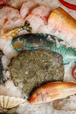 Dondurulmuş taze balık ve buzlu deniz ürünleri.