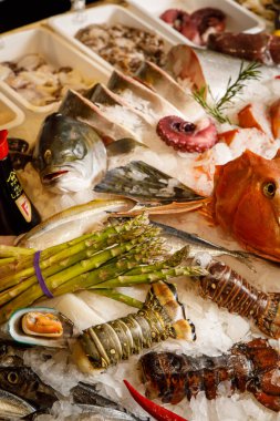 Dondurulmuş taze balık ve buzlu deniz ürünleri.