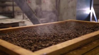 Fabrika. Köpek maması üretimi