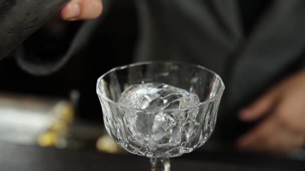 Barkeeper Gießt Cocktail Glas Mit Eis — Stockvideo