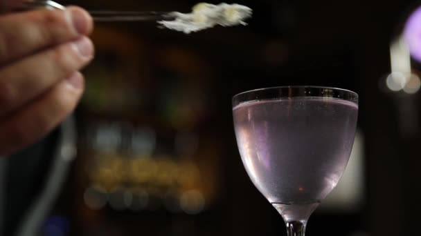 Barman Bereidt Een Alcoholische Cocktail Met Ijs — Stockvideo