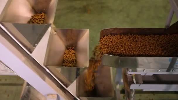 Factory Production Dog Food — Stock Video