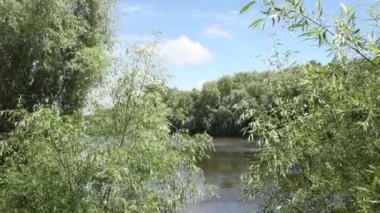 Parktaki nehrin güzel manzarası