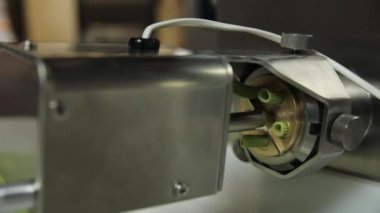 Şef mutfakta fesleğenli yeşil makarna hazırlıyor.