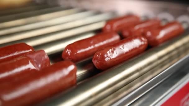 Chef Prepares Hot Dogs Grilled Sausages — Stock Video