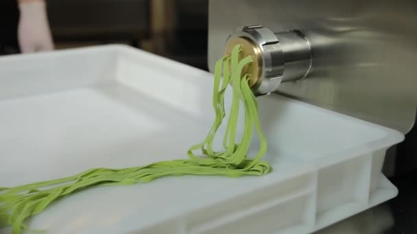 Chef Bereidt Groene Pasta Met Basilicum Keuken — Stockvideo