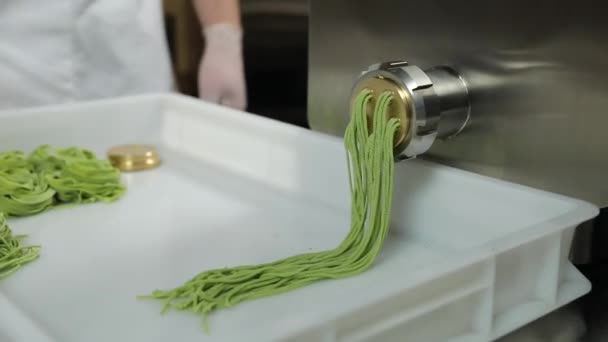 요리사 주방에 바질을 파스타를 — 비디오