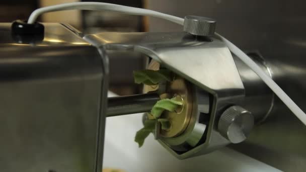 Šéfkuchař Připravuje Zelené Těstoviny Bazalkou Kuchyni — Stock video