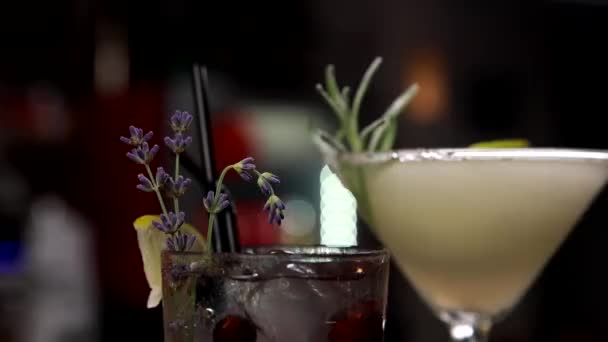 一杯含有新鲜浆果的冷饮 — 图库视频影像