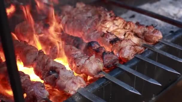 Barbecue Grill Fire Close Picnic Nature — Vídeo de Stock