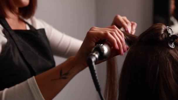 Close Professional Hairdresser Working — Video
