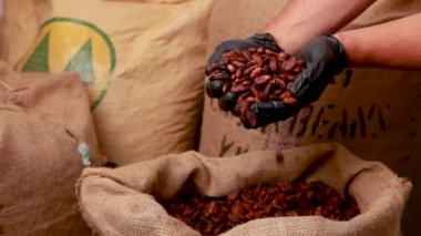 Canvas bag with Imported roasted cacao beans