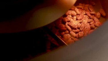 sorting and roasting cocoa beans