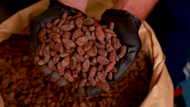 Canvas Bag Imported Roasted Cacao Beans — Vídeos de Stock