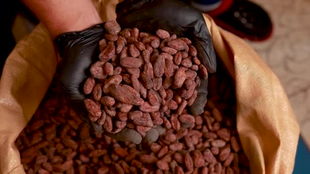 Canvas Bag Imported Roasted Cacao Beans — ストック動画