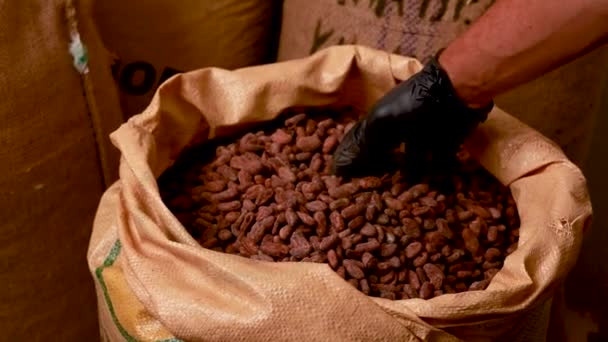 Canvas Bag Imported Roasted Cacao Beans — Vídeo de Stock