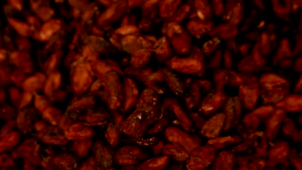 Canvas Bag Imported Roasted Cacao Beans — Stock video