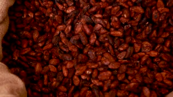 Canvas Bag Imported Roasted Cacao Beans — Stock Video