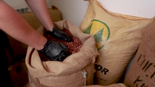 Canvas Bag Imported Roasted Cacao Beans — Wideo stockowe