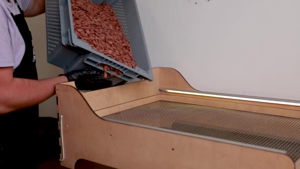 Sorting Roasting Cocoa Beans — Stockvideo