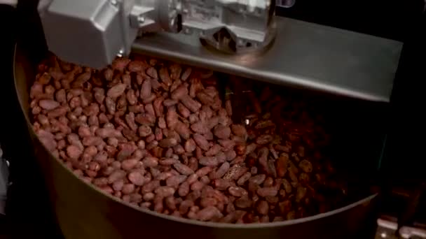 Sorting Roasting Cocoa Beans — Stockvideo