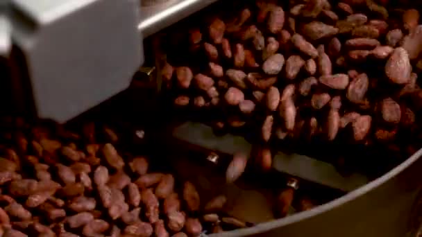 Sorting Roasting Cocoa Beans — Vídeos de Stock
