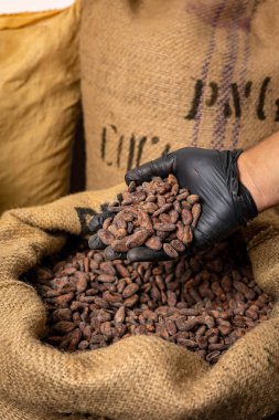 Canvas bag with Imported roasted cacao beans