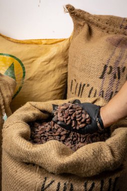 Canvas bag with Imported roasted cacao beans